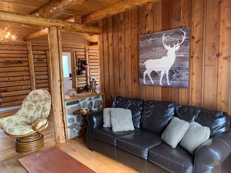 Cozy Log Cottage La Minerve Екстериор снимка