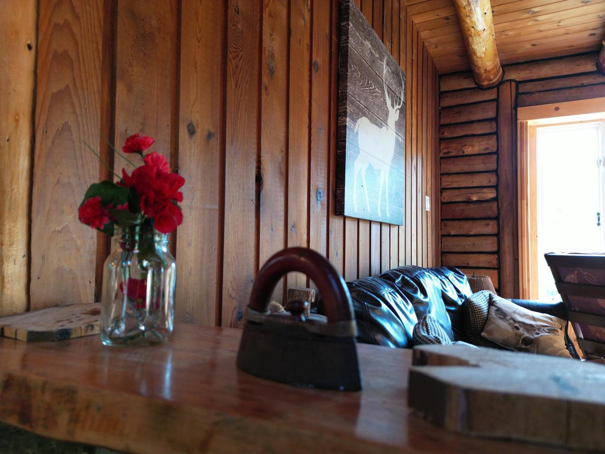 Cozy Log Cottage La Minerve Екстериор снимка